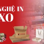 z7211760969623 785906f8f3ecdedcc8bd53fe9755d592